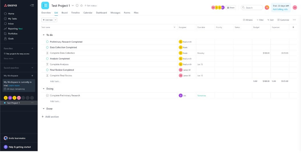 Asana expanded list view